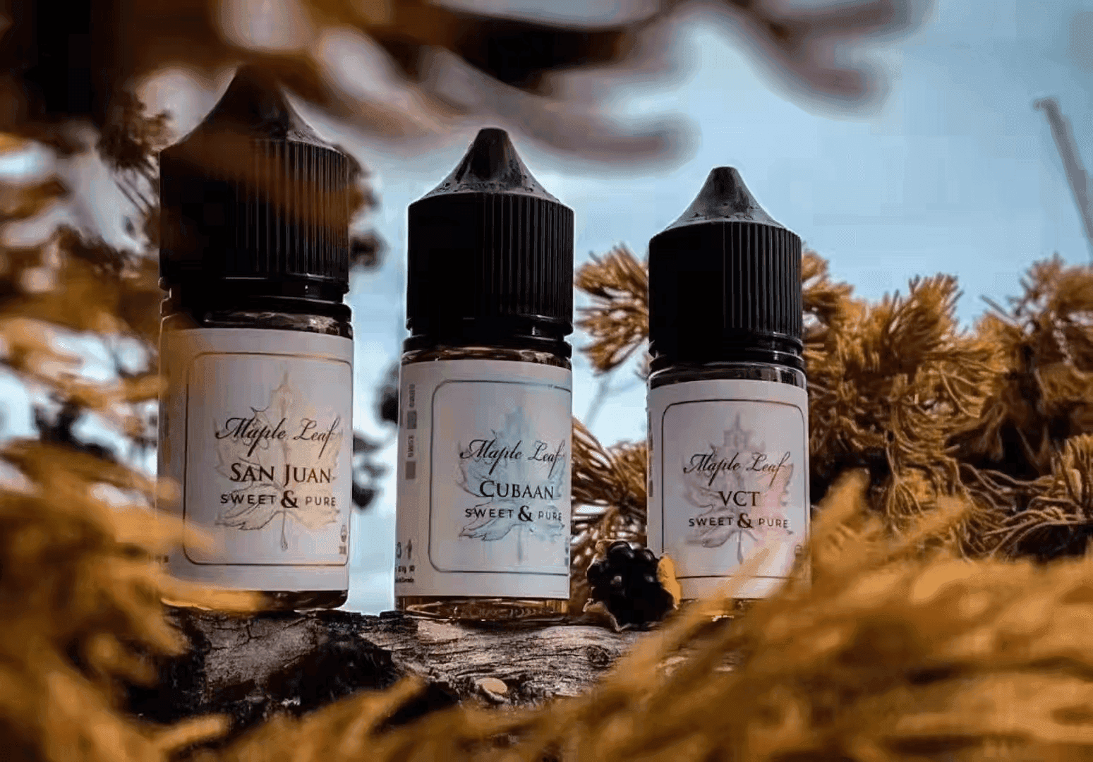 楓葉小煙油30ML Maple Leaf加拿大原裝進口 - 黑奶Cuban:圖片 3