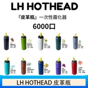 LH HOTHEAD皮革瓶電子煙可充電6000口一次性